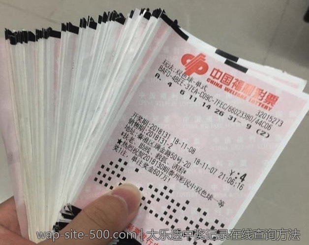大乐透中奖记录在线查询方法