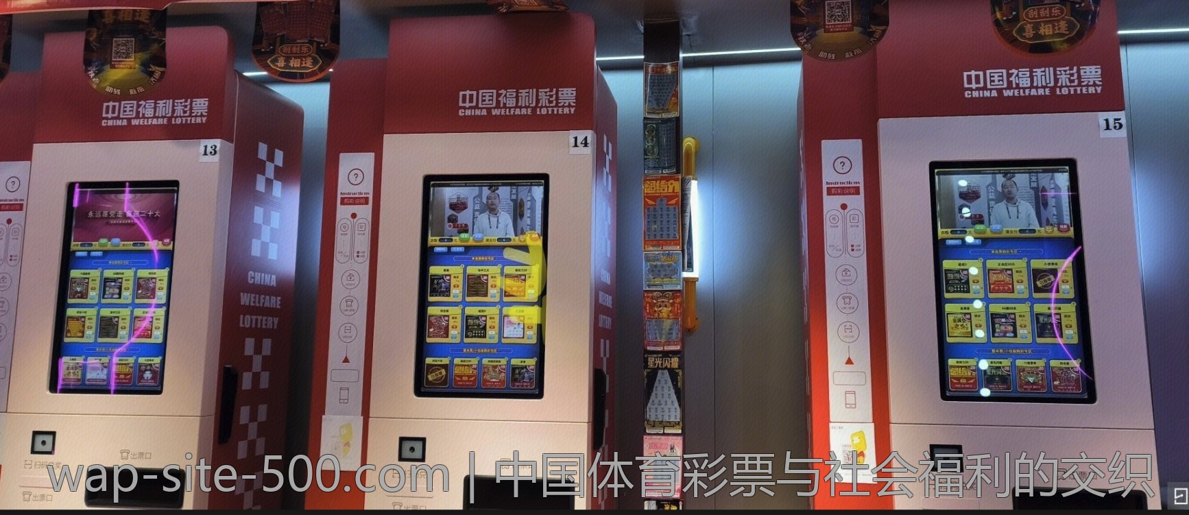 中国体育彩票与社会福利的交织